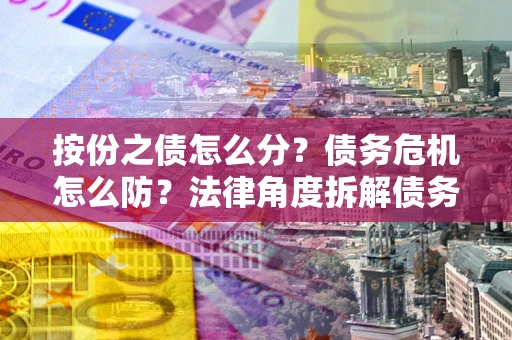 武汉按份之债怎么分？债务危机怎么防？法律角度拆解债务分配与风险自保指南