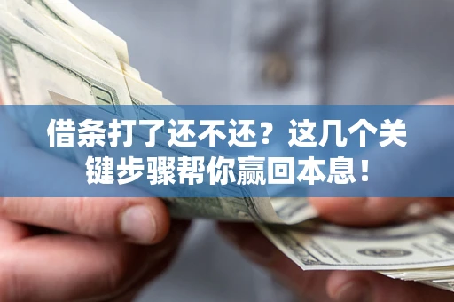 武汉借条打了还不还？这几个关键步骤帮你赢回本息！