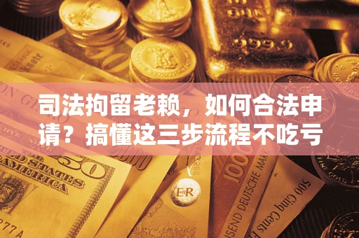 武汉司法拘留老赖，如何合法申请？搞懂这三步流程不吃亏！