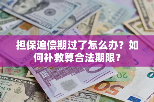 武汉担保追偿期过了怎么办？如何补救算合法期限？