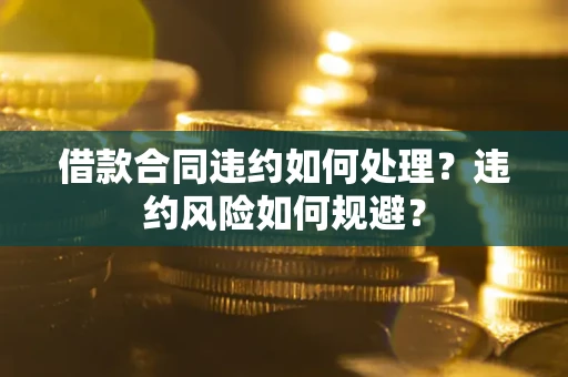 武汉借款合同违约如何处理？违约风险如何规避？