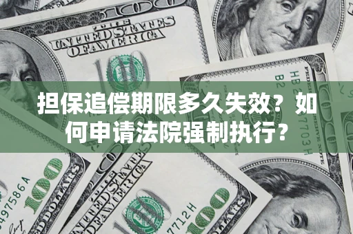 武汉担保追偿期限多久失效？如何申请法院强制执行？
