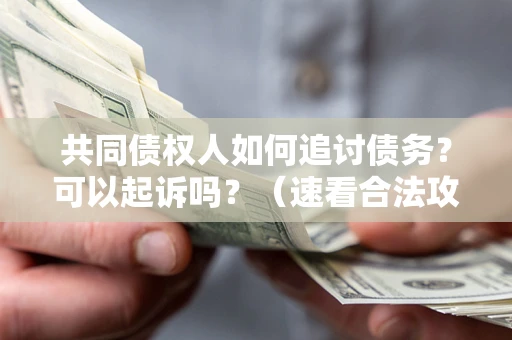 武汉共同债权人如何追讨债务？可以起诉吗？（速看合法攻略）