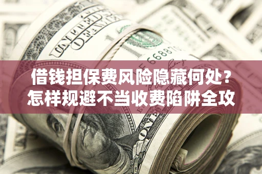 武汉借钱担保费风险隐藏何处？怎样规避不当收费陷阱全攻略！