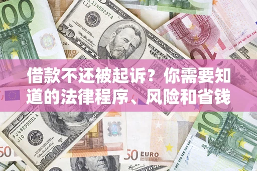武汉借款不还被起诉？你需要知道的法律程序、风险和省钱技巧