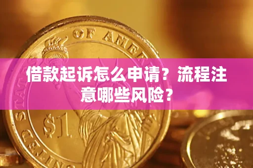 武汉借款起诉怎么申请？流程注意哪些风险？