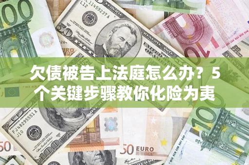 武汉欠债被告上法庭怎么办？5个关键步骤教你化险为夷