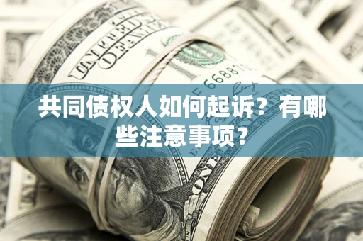 武汉共同债权人如何起诉？有哪些注意事项？