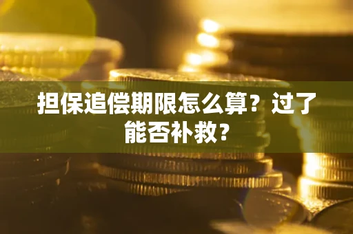 武汉担保追偿期限怎么算？过了能否补救？